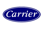 Carrier